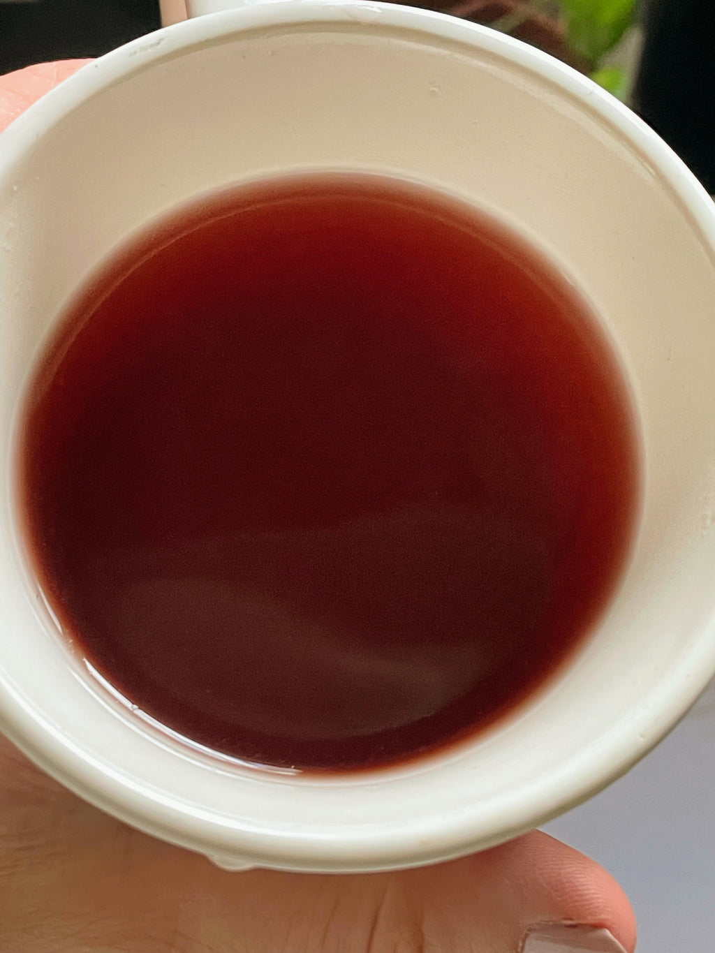 Sun Catcher Tea